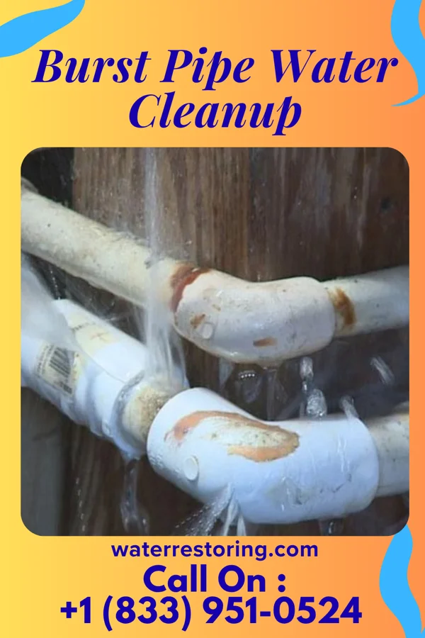 Burst Pipe Water Cleanup in Kirkville, IA